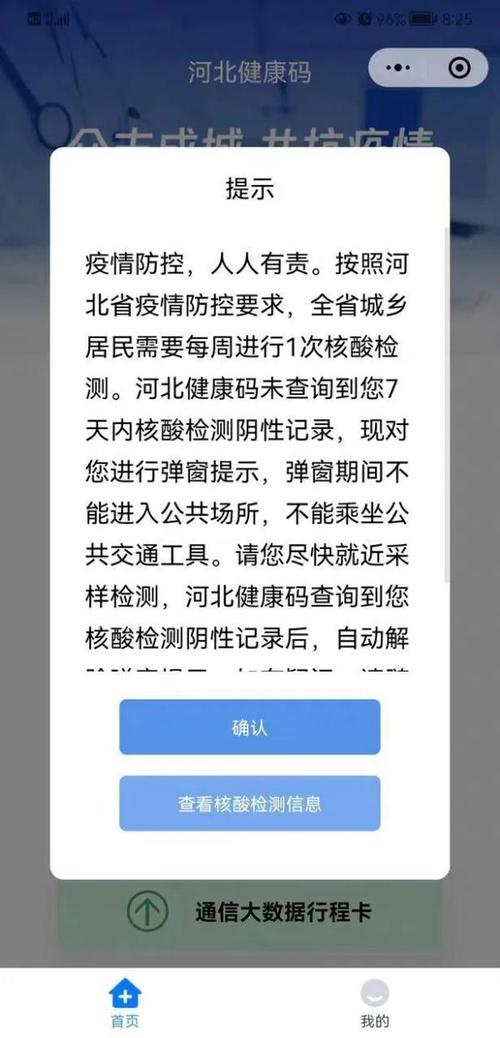 不做核酸了，健康码可以坚持几天？（48天剧情介绍）