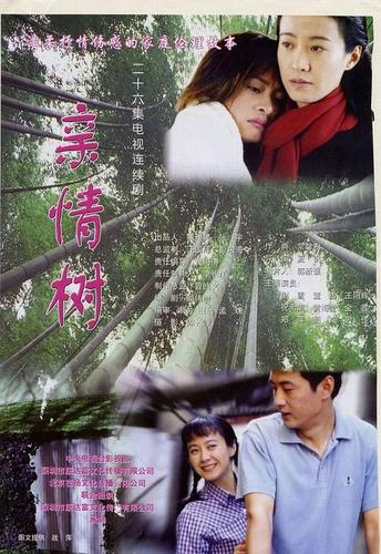 亲情树剧情解析?(亲情剧情介绍)