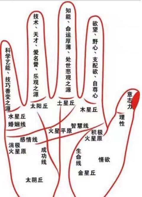在爱情方面，五根手指分别代表什么？（五根手指剧情介绍）