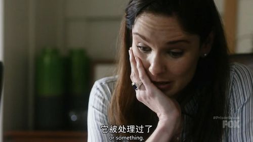 越狱第五季莎拉为什么要嫁人?(越狱 第五季 剧情介绍)