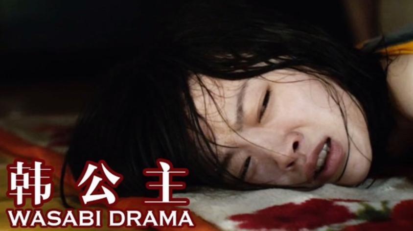 为什么韩国公主可以嫁给皇子？（韩公主 剧情介绍）