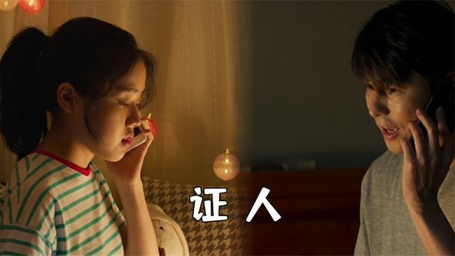 证人剧情详细解析？（证人 剧情介绍）