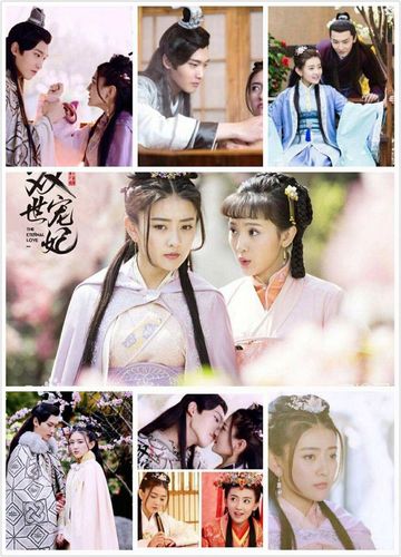 双世宠妃知识?(宠世双妃剧情介绍)