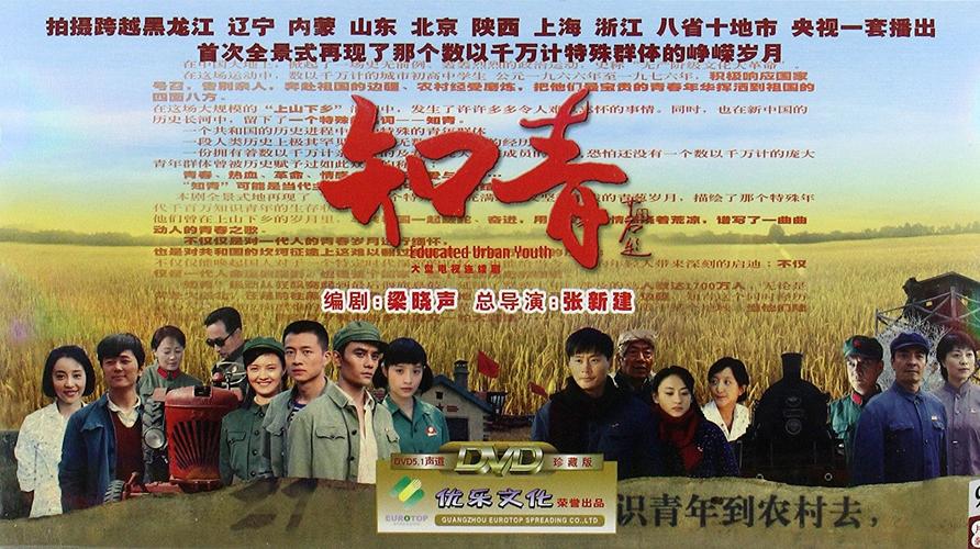 《知青》的剧情是怎样的？（知青电视剧情介绍）