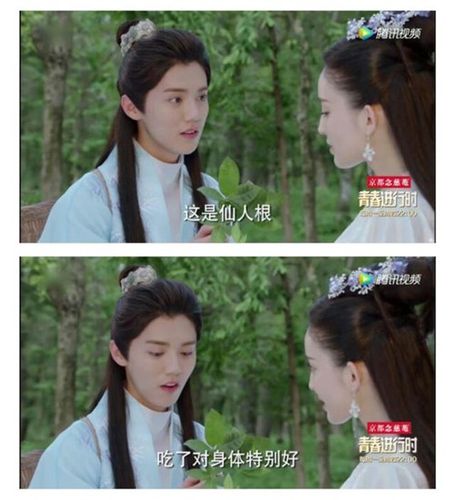 择天记落落哭着追陈长生第几集?(折天记的剧情介绍)