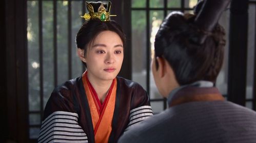 芈月传大概内容?(芈月传剧情介绍 电视猫)