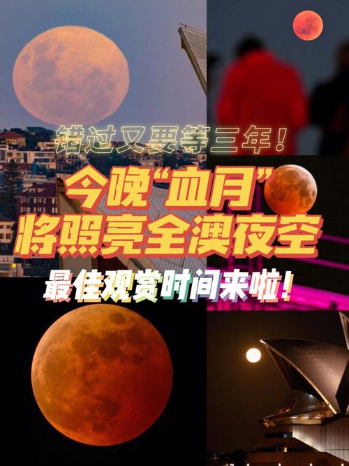 话剧《红月亮》的剧情详细介绍?(月球 剧情介绍)