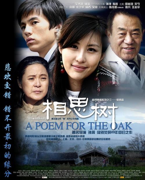 《相思树》结局到底是啥啊？（相思树 剧情介绍）