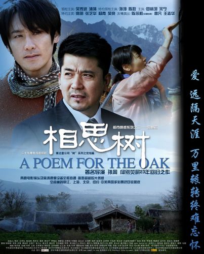 《相思树》结局到底是啥啊?(相思树 剧情介绍)