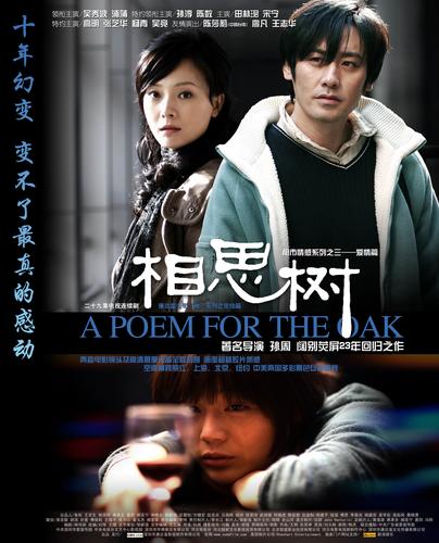 《相思树》结局到底是啥啊?(相思树 剧情介绍)