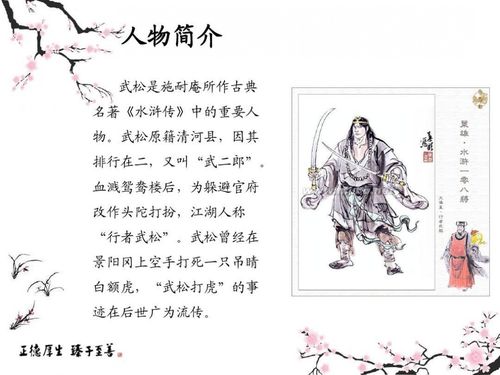 小汉子什么意思？（武松剧情分集介绍）