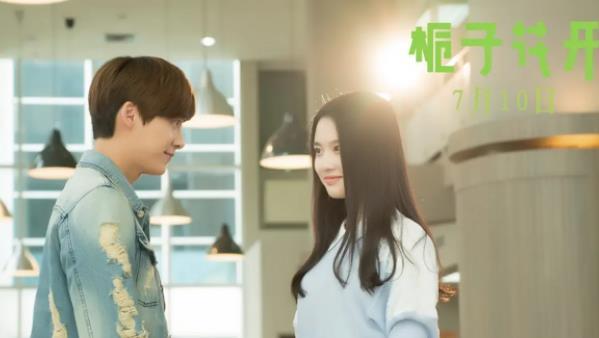 栀子花开结局什么意思？（栀子花开剧情介绍栀子花开）