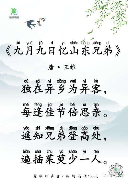 风雨芦笛原文？（乡九下剧情介绍）