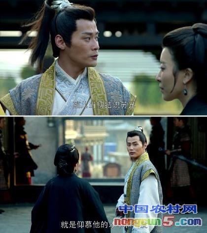 琅琊榜剧情是什么大结局是什么?(琅琊榜剧情介绍31)