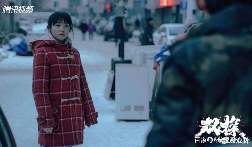 双探剧情介绍为什么抓小女孩？（小女孩剧情介绍）