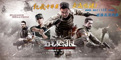 战狼剧情介绍详细?(电影狼战1剧情介绍)