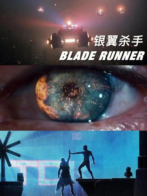 杀手3和杀手6剧情咋是一样的？（杀手电影剧情介绍）