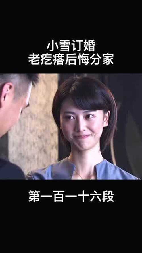 养父的花样年华救小雪是第几集?(《小雪》剧情介绍)