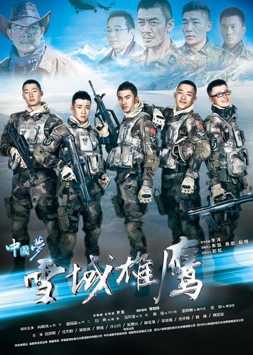 电视剧8848为什么改名为雪域雄鹰,雪域雄鹰电视剧?(8848剧情介绍)