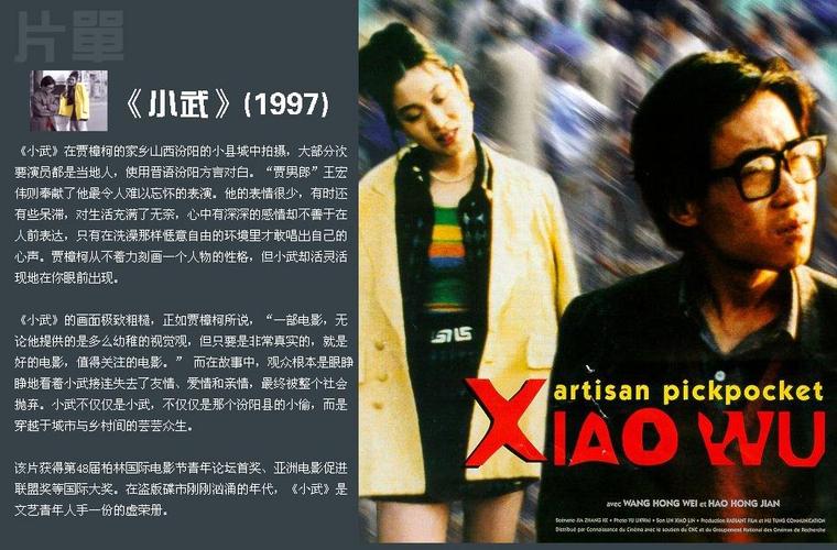 小武剧情解析?(怜悯 剧情介绍)