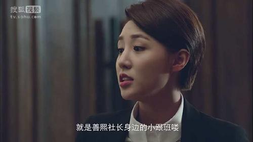 继承者计划婶婶扮演者是谁？（婶娘剧情介绍）
