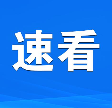 速分期是正规公司吗?(速2剧情介绍)