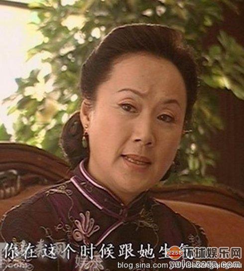 金粉世家小姨太扮演者？（金粉世家 剧情介绍）