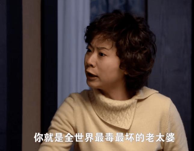 遇到心眼这么小的公婆,怎么办?(小婆婆 剧情介绍)