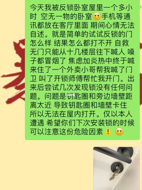 我一个人被锁在家里了，怎么办？（家 锁剧情介绍）