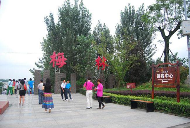 五朵金花景区?(驸马村 剧情介绍)