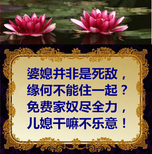 家庭情感婆媳正能量句子?(婆媳一家亲剧情介绍)