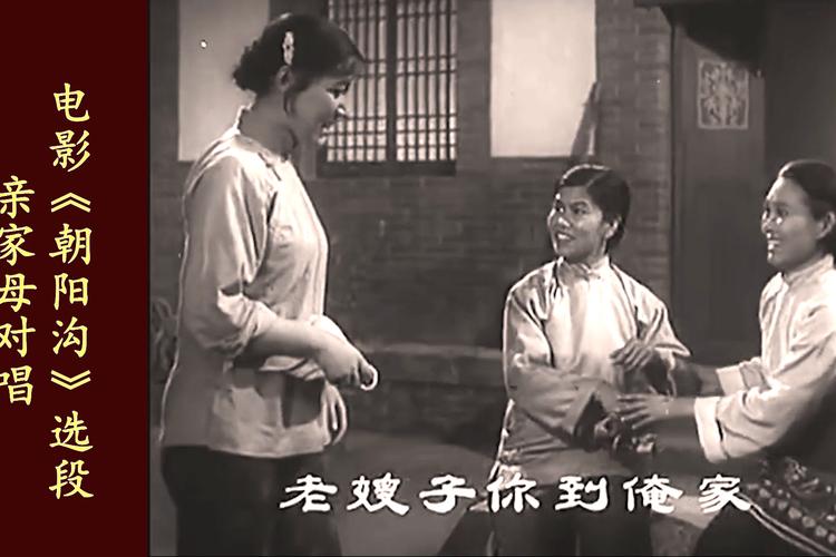豫剧经堂孝母剧情介绍?(母与子剧情介绍)