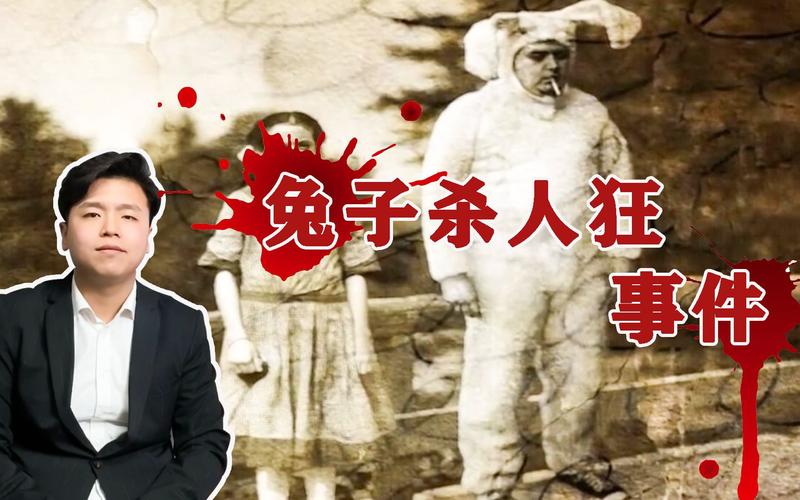 兔子杀手评分多少?(6.2剧情介绍)