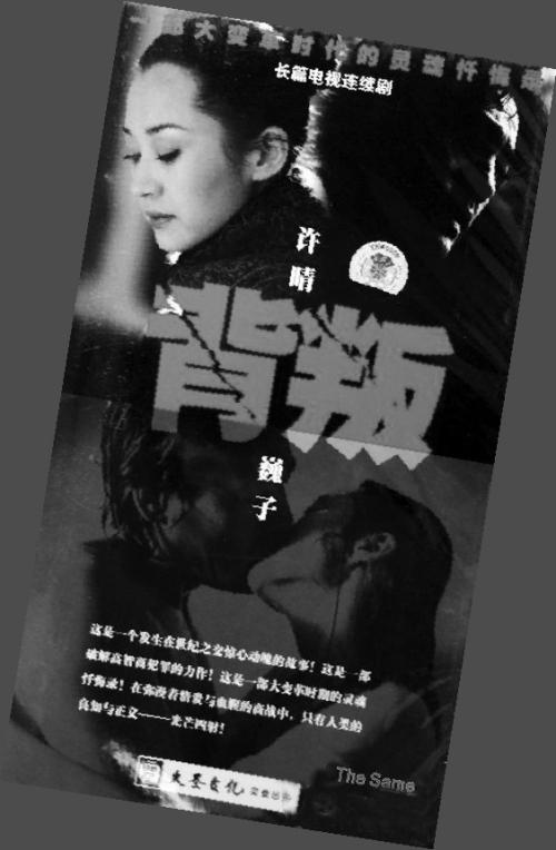 背叛故事梗概？（逃犯剧情介绍）