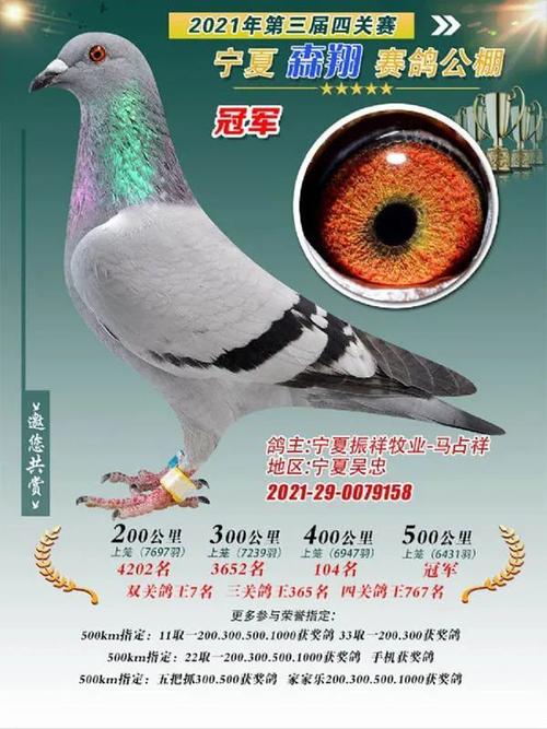 公棚指定11取1是啥意思?(指定你剧情介绍)