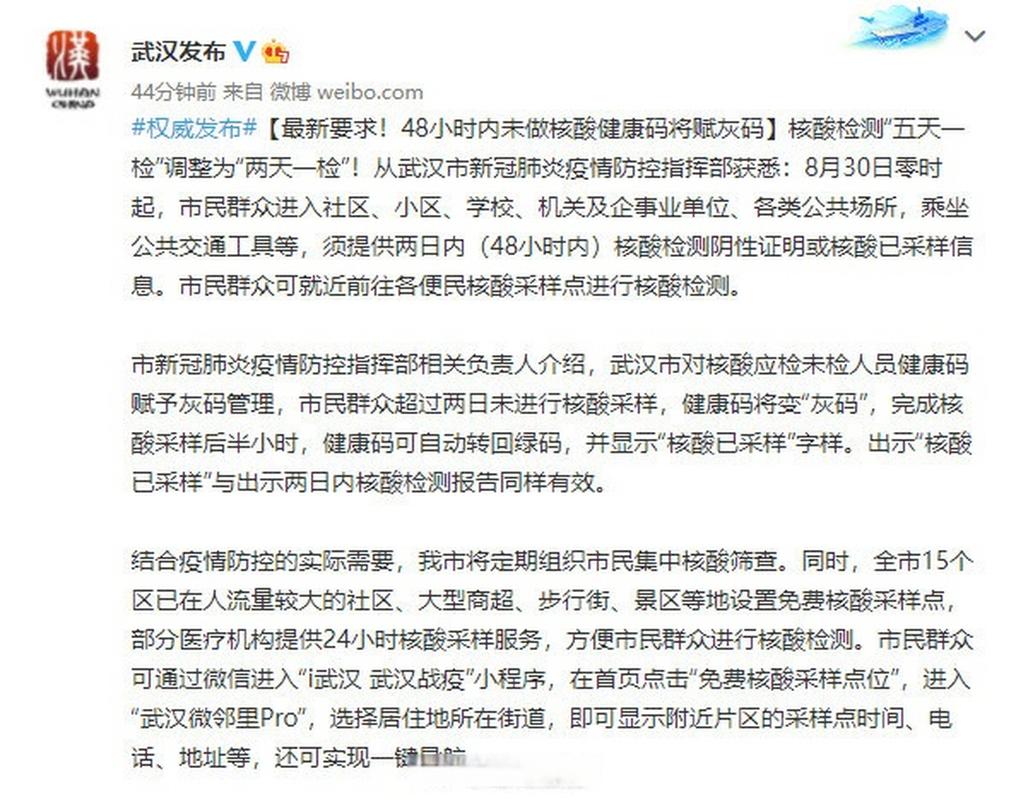 不做核酸了,健康码可以坚持几天?(48天 剧情介绍)
