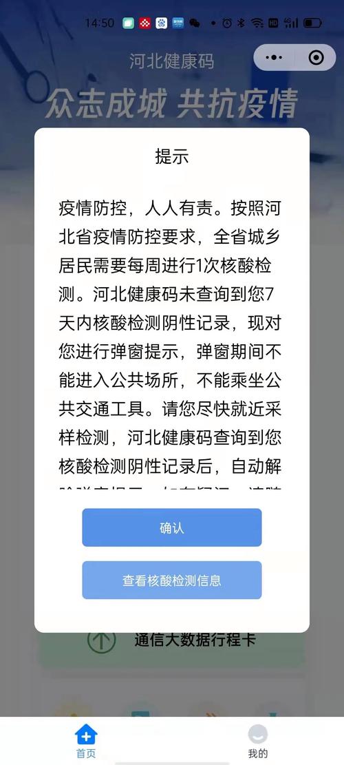 不做核酸了，健康码可以坚持几天？（48天 剧情介绍）