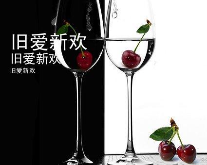 新欢旧爱是什么意思?(旧爱新欢剧情介绍)