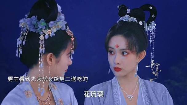 花琉璃轶闻丫鬟有官职吗？（侍女们剧情介绍）