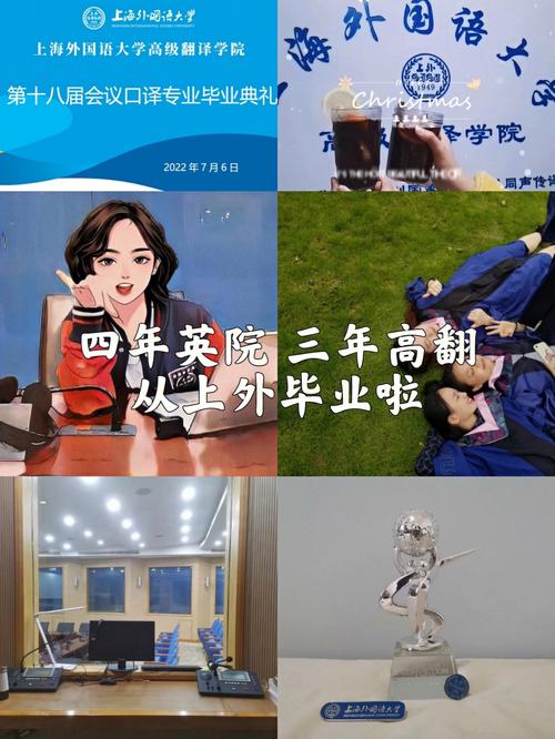 考研去上外高翻学院真的真的那么那么难么?omg？（高翻院剧情介绍）