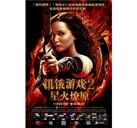 饥饿游戏2剧情求解,详细请看补充?(饥饿游戏2 剧情介绍)