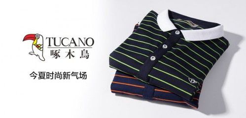 tucano是什么牌子?(啄木鸟剧情系列介绍)