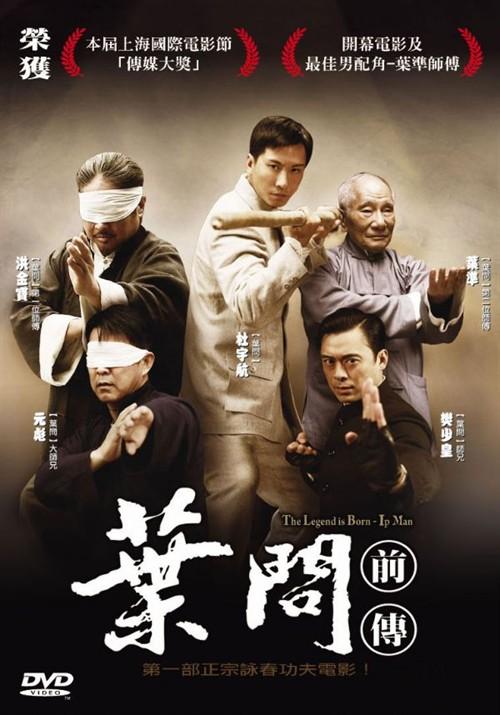 王宝强与叶问的电影叫什么?(叶问电影剧情介绍)