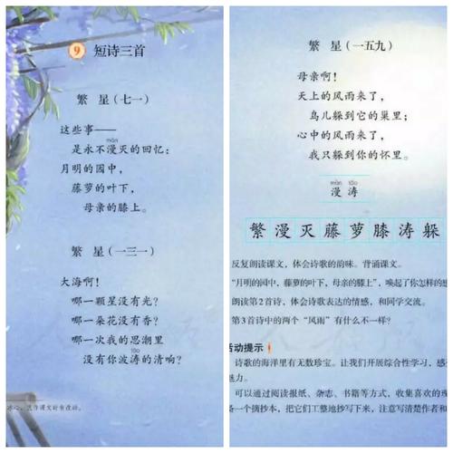 繁星第三十六首写一的是什么景物？（繁星四36集剧情介绍）