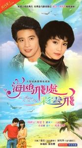海鸥飞处彩云飞剧情解读？（海鸥飞处剧情介绍）