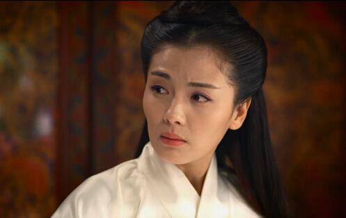 何雪松扮演者?(芈月传剧情介绍66集)