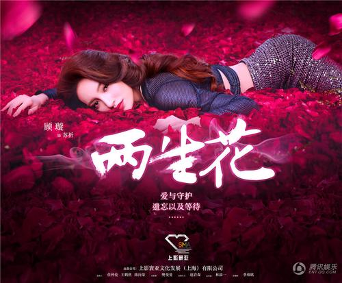 两生花大结局剧情介绍,原著小说岁月是朵两生花结局是什么,唐七公?(两生花 电视剧剧情介绍)