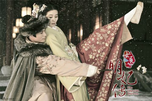 女医明妃传48集剧情介绍？（女医明妃传35剧情介绍）