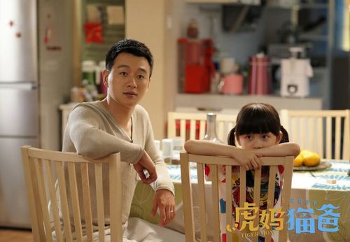 虎爸熊妈剧情?(虎妈猫爸电视剧剧情介绍)