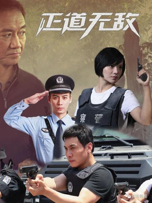 白永成演过的电视剧？（大案组剧情介绍）